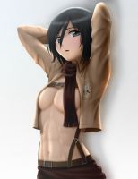 attack_on_titan_-_mikasa_20130914_067.jpg